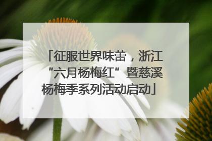 征服世界味蕾，浙江“六月杨梅红”暨慈溪杨梅季系列活动启动