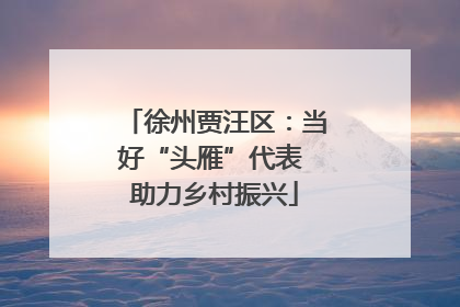 徐州贾汪区：当好“头雁”代表 助力乡村振兴
