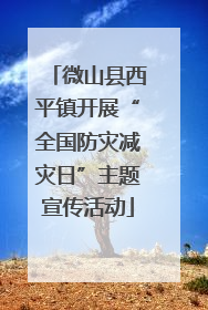 微山县西平镇开展“全国防灾减灾日”主题宣传活动