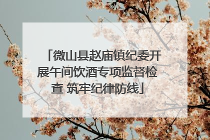 微山县赵庙镇纪委开展午间饮酒专项监督检查 筑牢纪律防线