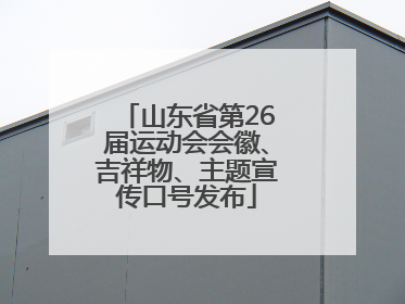 山东省第26届运动会会徽、吉祥物、主题宣传口号发布