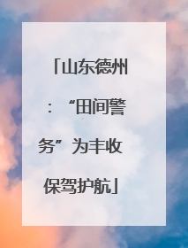 山东德州：“田间警务”为丰收保驾护航