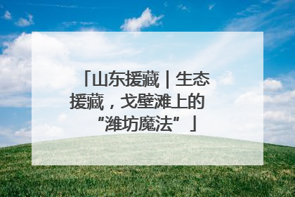 山东援藏｜生态援藏，戈壁滩上的“潍坊魔法”