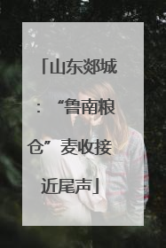 山东郯城：“鲁南粮仓”麦收接近尾声