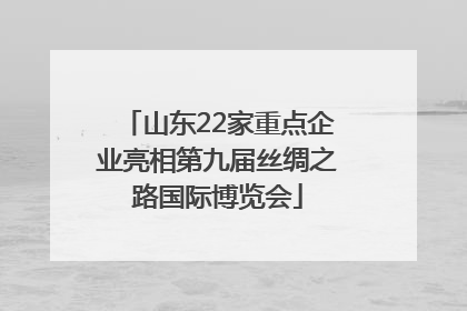 山东22家重点企业亮相第九届丝绸之路国际博览会