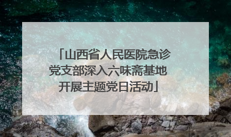 山西省人民医院急诊党支部深入六味斋基地开展主题党日活动