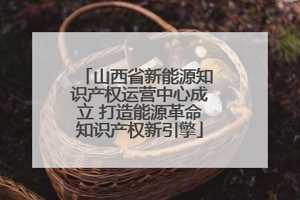 山西省新能源知识产权运营中心成立 打造能源革命知识产权新引擎