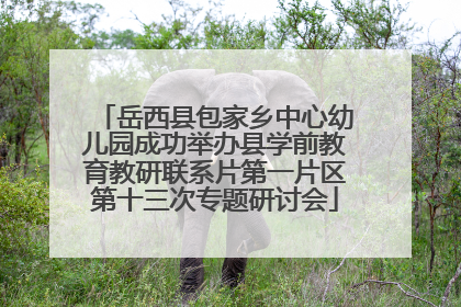 岳西县包家乡中心幼儿园成功举办县学前教育教研联系片第一片区第十三次专题研讨会