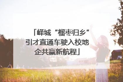 峄城“榴枣归乡”引才直通车驶入校地企共赢新航程