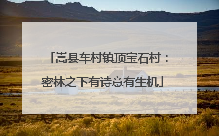 嵩县车村镇顶宝石村：密林之下有诗意有生机