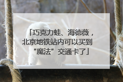 巧克力蛙、海德薇，北京地铁站内可以买到“魔法”交通卡了