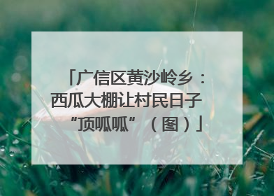 广信区黄沙岭乡：西瓜大棚让村民日子“顶呱呱”（图）