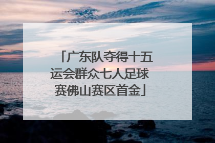 广东队夺得十五运会群众七人足球赛佛山赛区首金
