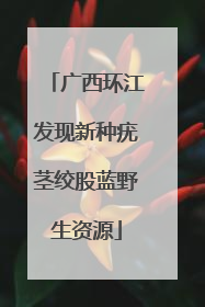 广西环江发现新种疣茎绞股蓝野生资源