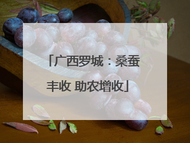 广西罗城：桑蚕丰收 助农增收