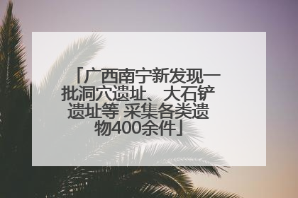 广西南宁新发现一批洞穴遗址、大石铲遗址等 采集各类遗物400余件