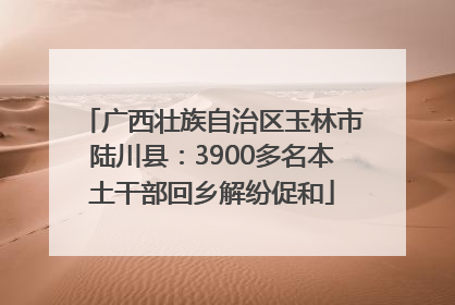 广西壮族自治区玉林市陆川县：3900多名本土干部回乡解纷促和