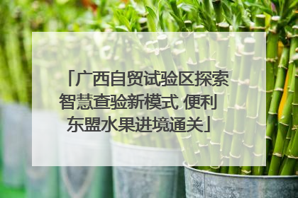 广西自贸试验区探索智慧查验新模式 便利东盟水果进境通关