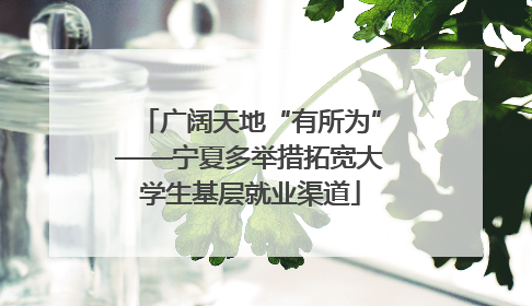 广阔天地“有所为”——宁夏多举措拓宽大学生基层就业渠道
