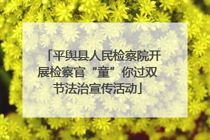 平舆县人民检察院开展检察官“童”你过双节法治宣传活动