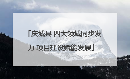 庆城县 四大领域同步发力 项目建设赋能发展
