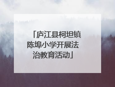 庐江县柯坦镇陈埠小学开展法治教育活动
