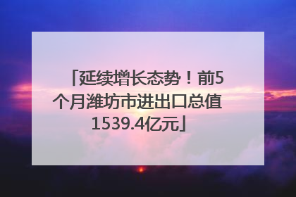 延续增长态势！前5个月潍坊市进出口总值1539.4亿元