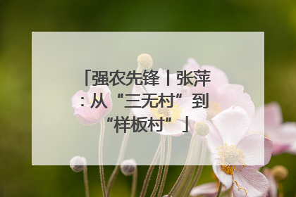 强农先锋丨张萍：从“三无村”到“样板村”