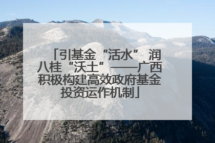 引基金“活水” 润八桂“沃土”——广西积极构建高效政府基金投资运作机制