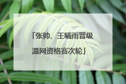 张帅、王曦雨晋级温网资格赛次轮
