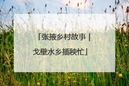 张掖乡村故事｜戈壁水乡插秧忙