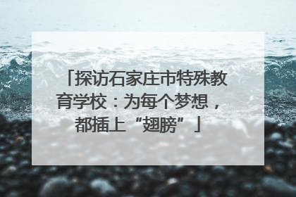 探访石家庄市特殊教育学校：为每个梦想，都插上“翅膀”
