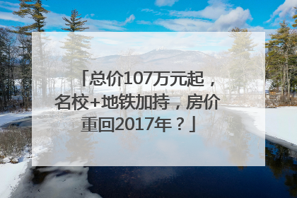 总价107万元起，名校+地铁加持，房价重回2017年？