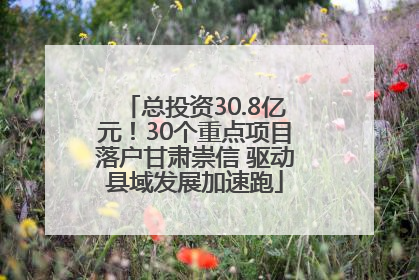 总投资30.8亿元！30个重点项目落户甘肃崇信 驱动县域发展加速跑