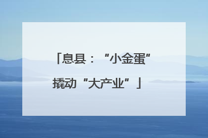 息县：“小金蛋”撬动“大产业”