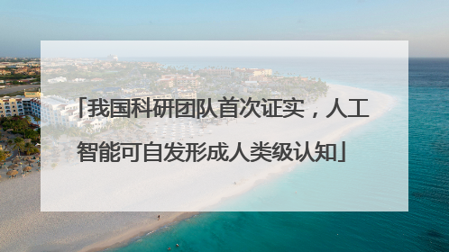 我国科研团队首次证实，人工智能可自发形成人类级认知