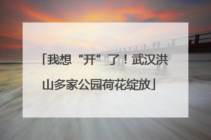 我想“开”了！武汉洪山多家公园荷花绽放