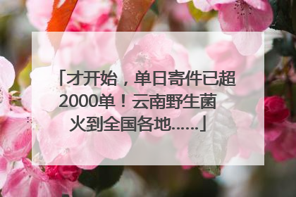 才开始，单日寄件已超2000单！云南野生菌火到全国各地……