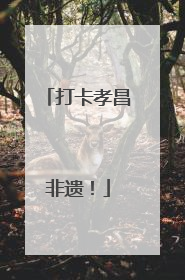 打卡孝昌非遗！