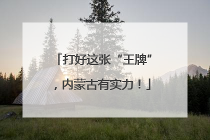 打好这张“王牌”，内蒙古有实力！