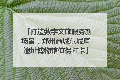 打造数字文旅服务新场景，郑州商城东城垣遗址博物馆值得打卡
