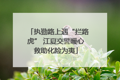 执勤路上遇“拦路虎” 江夏交警暖心救助化险为夷