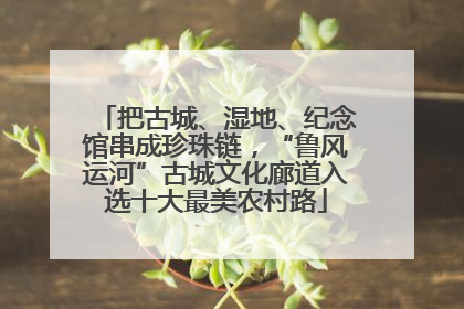 把古城、湿地、纪念馆串成珍珠链，“鲁风运河”古城文化廊道入选十大最美农村路