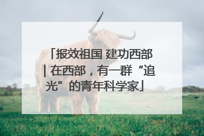 报效祖国 建功西部｜在西部，有一群“追光”的青年科学家