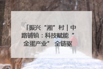 振兴“湘”村｜中路铺镇：科技赋能“金蛋产业” 全链驱动乡村振兴