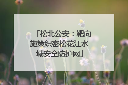 松北公安：靶向施策织密松花江水域安全防护网