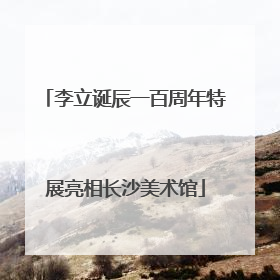 李立诞辰一百周年特展亮相长沙美术馆