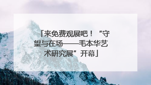 来免费观展吧！“守望与在场——毛本华艺术研究展”开幕