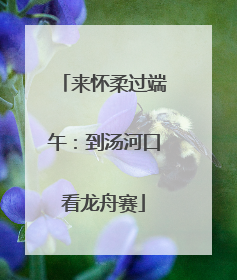 来怀柔过端午：到汤河口看龙舟赛