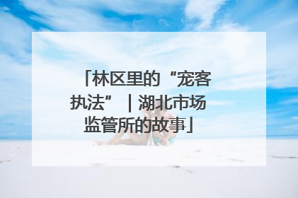 林区里的“宠客执法”｜湖北市场监管所的故事